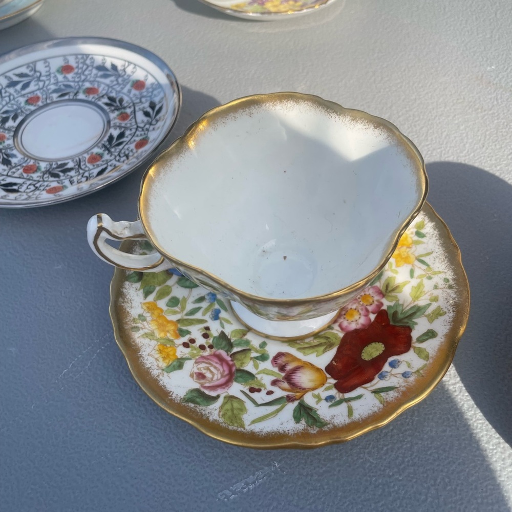 Floral Gold Trim Teacup and Saucer Set